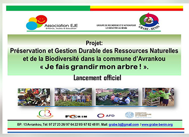 projet je fais grandir mon arbre